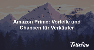Amazon Prime für Verkäufer