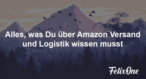 Amazon Versand und Logistik